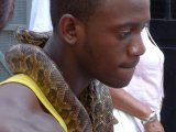Havana's snake man?