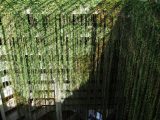 The flora and floors of the hotel