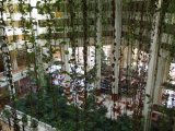 View through the flora from the 7th floor