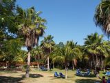Hotel gardens