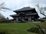 Final shot of the Todaiji Temple (largest single wooden structure In the world)
