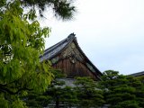 Detail of the wooden roofing