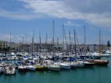 Trani marina