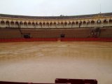 The Bullring at Plaza de Toros de la Maestranza