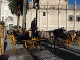 Carriage ride anyone??